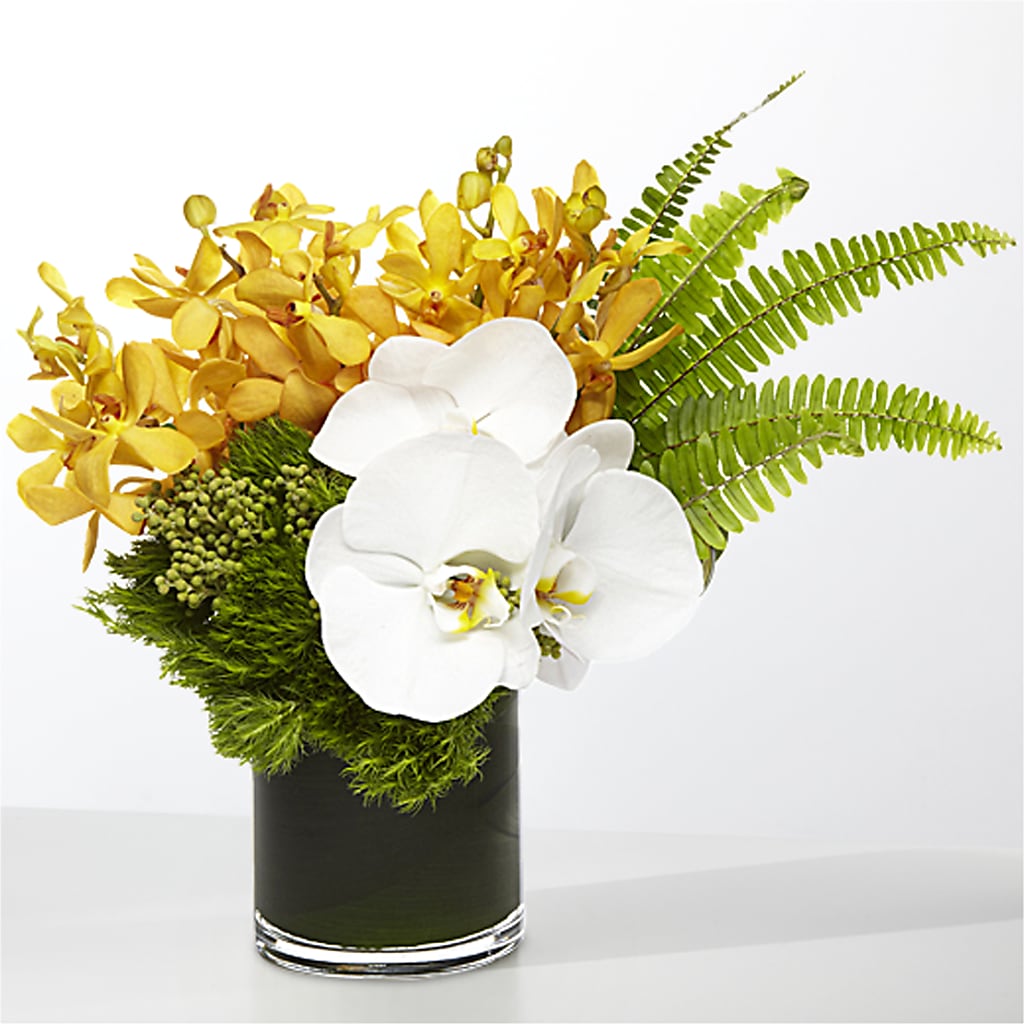 The Tropics –  Flowers And Bows, Yaphank NY